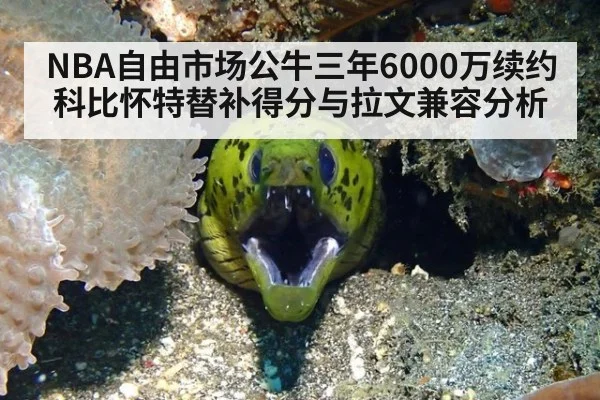 NBA自由市场公牛三年6000万续约科比怀特替补得分与拉文兼容分析